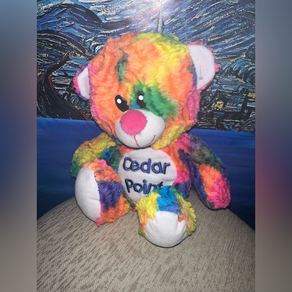 Cedar Pointe Tie Dye Teddy Bear
